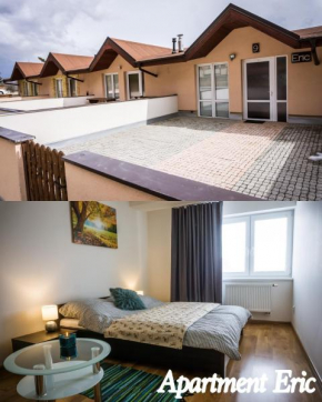 Apartment Eric 9D High Tatras